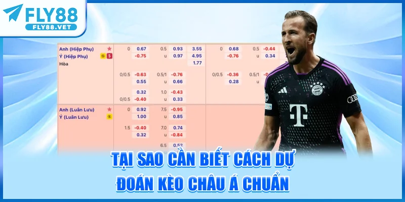 Tại Sao Cần Biết Cách Dự Đoán Kèo Châu Á Chuẩn?