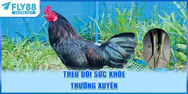 Theo Dõi Sức Khỏe Thường Xuyên